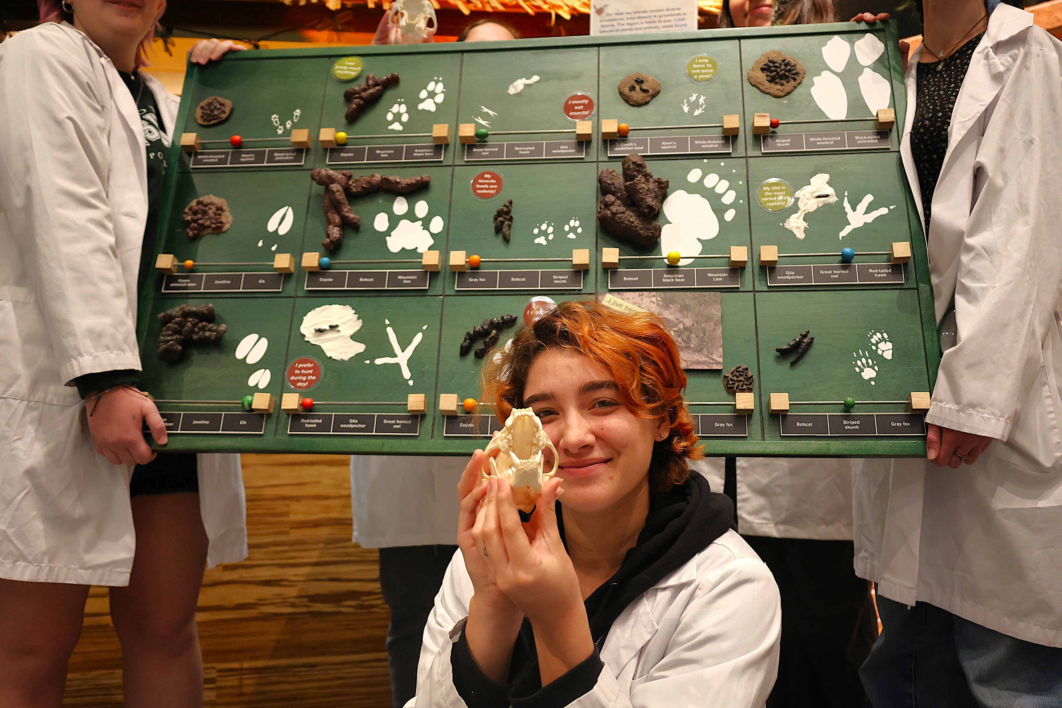 January's Science Theme: Sky Islands | Flandrau Science Center ...