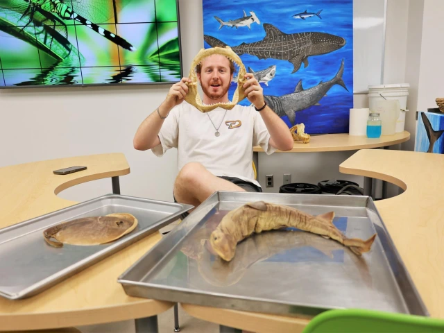 Marine Discovery | Flandrau Science Center & Planetarium