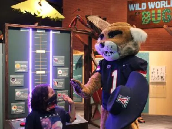 Wilbur Wildcat High Fives Kid at Flandrau Tucson