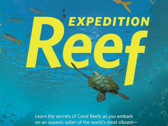 Expedition Reef Planetarium Show poster square