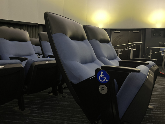 Accessible planetarium seating
