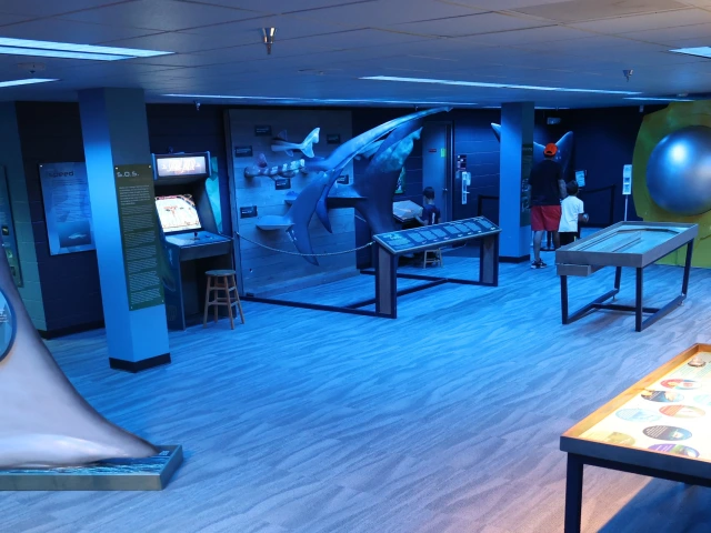Sharks Mysterious and Misunderstood exhibit at flandrau