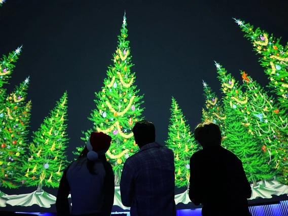 People Watching Flandrau Holiday Planetarium Shows