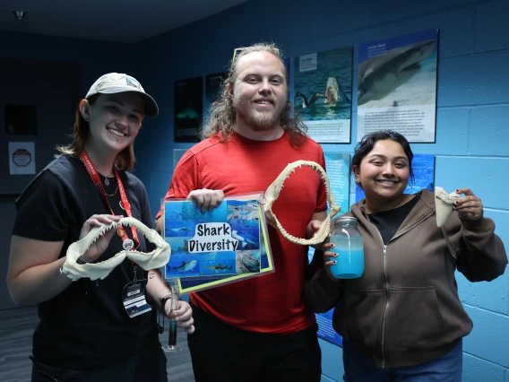 Sharks Variety Photo