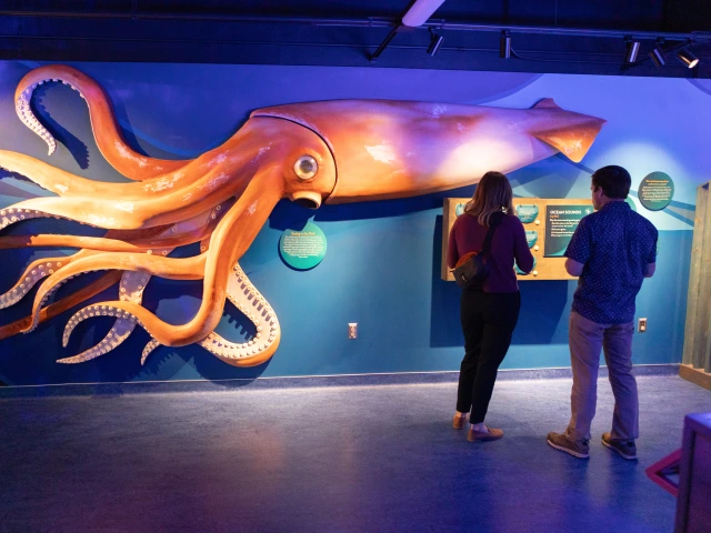undersea discovery