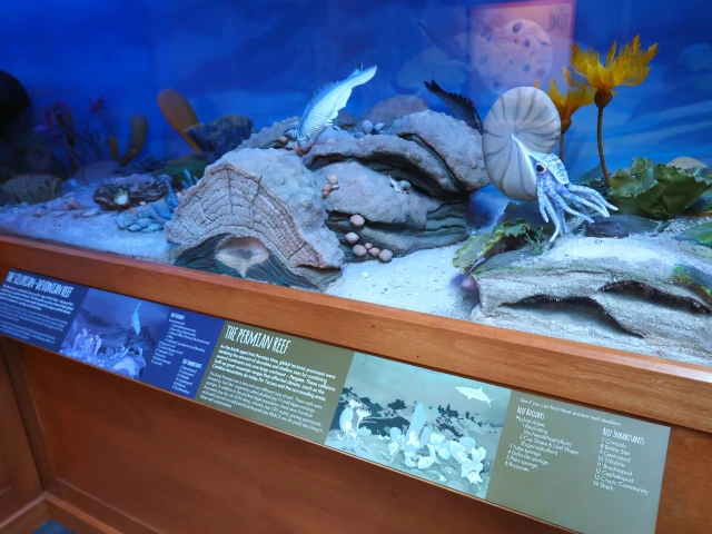 fossil corner reef