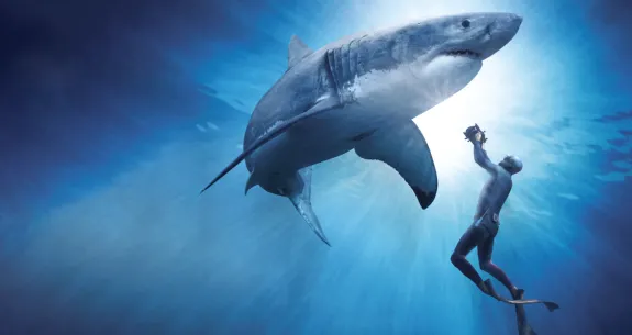 Man with no protective gear takes up-close photo of 18-20 foot great white shark