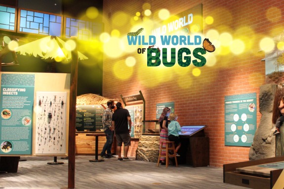 Wild World of Bugs Exhibit