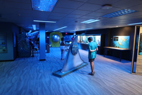 Sharks exhibit in tucson