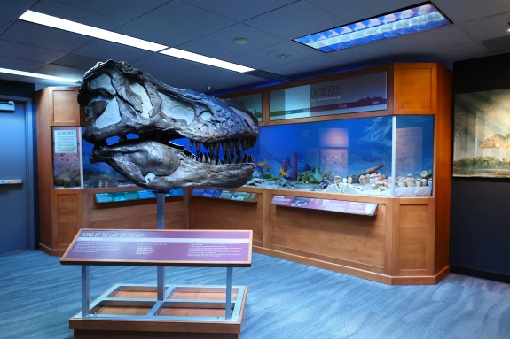 fossil corner full shot