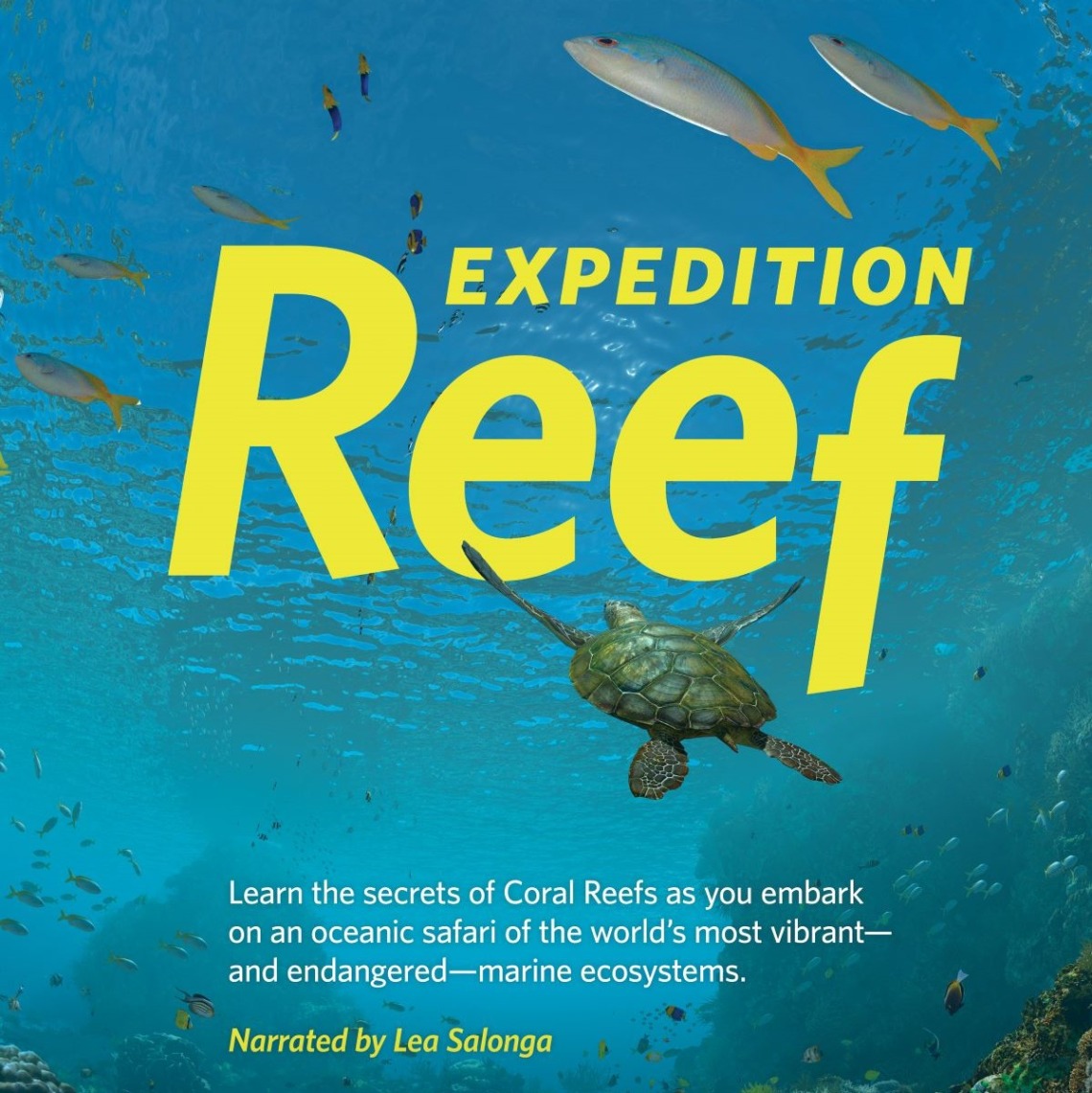 Expedition Reef Planetarium Show poster square