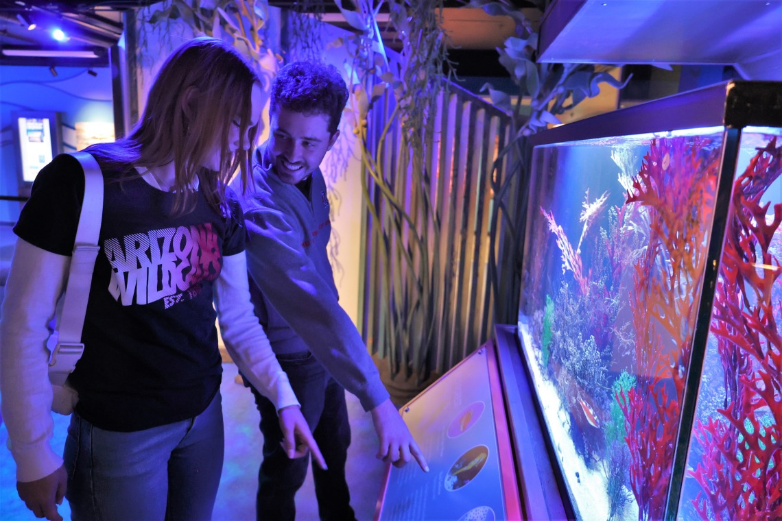 College students experience Undersea Discovery at Flandrau in Tucson