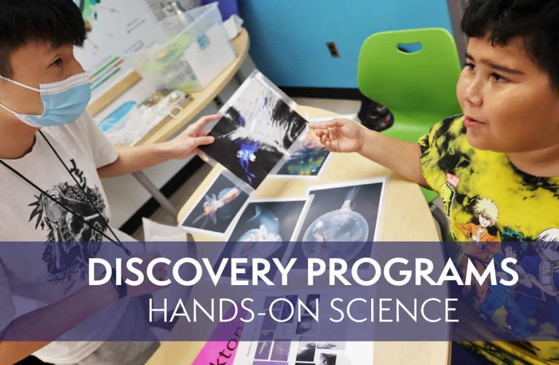 Discovery Programs