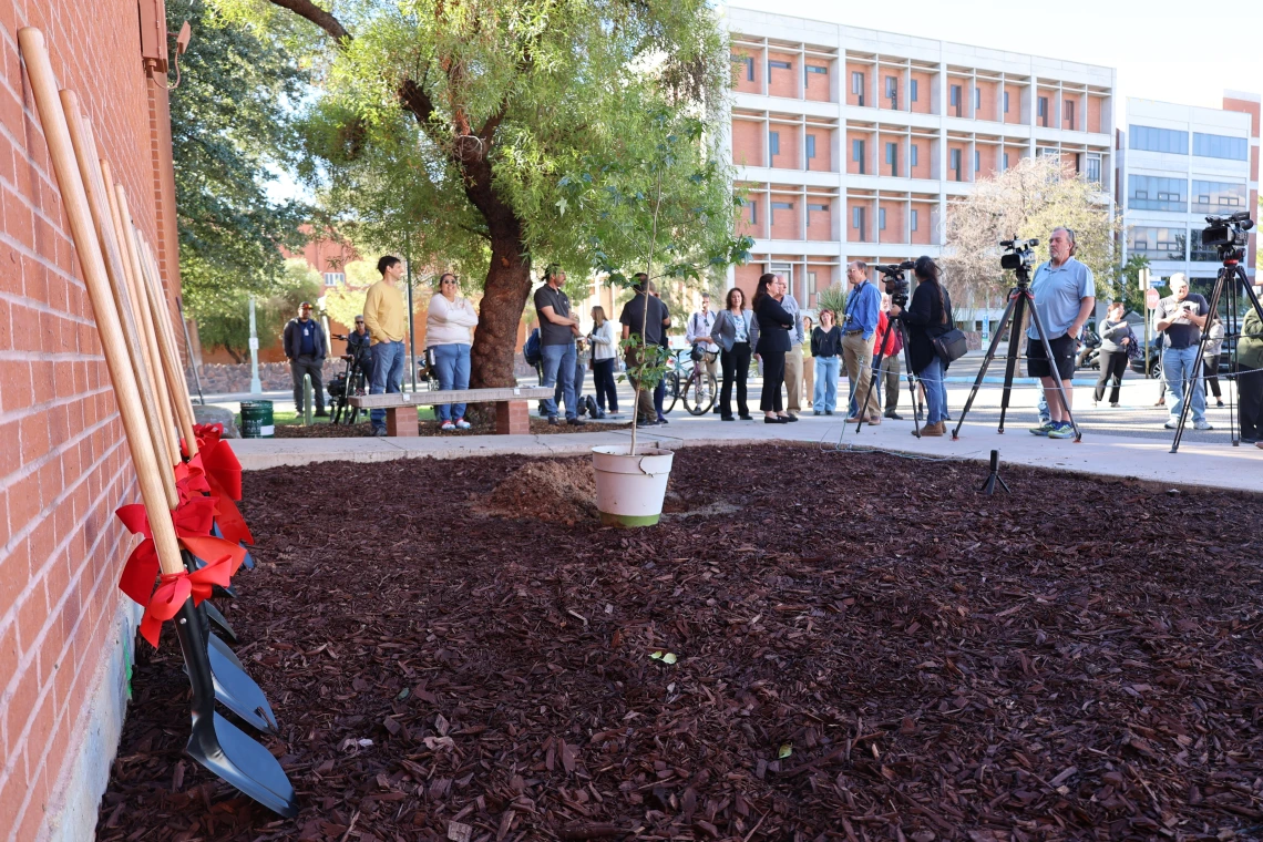 artemis I moon tree planting