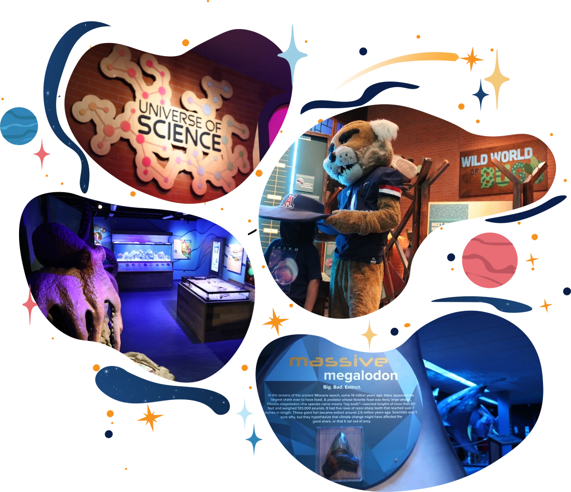 exhibits graphic