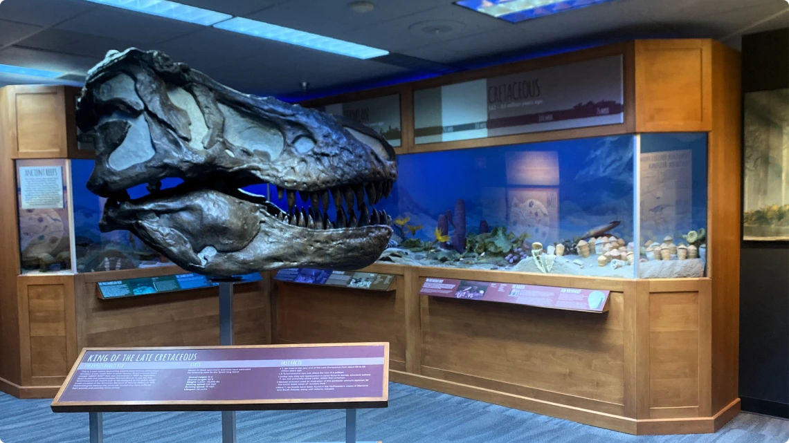 fossil corner 16x9 rounded edge