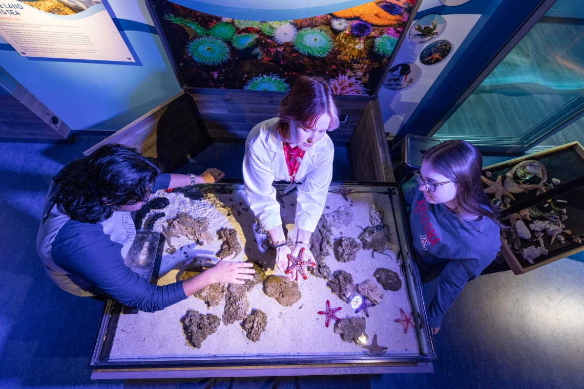 Undersea Discovery at Flandrau in Tucson