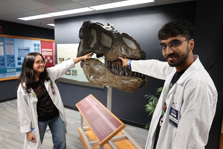 Science exhibit at Flandrau with a t rex skull