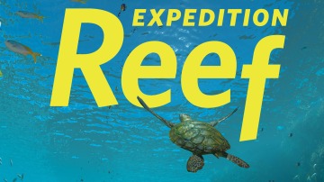 Expedition Reef Planetarium Show poster