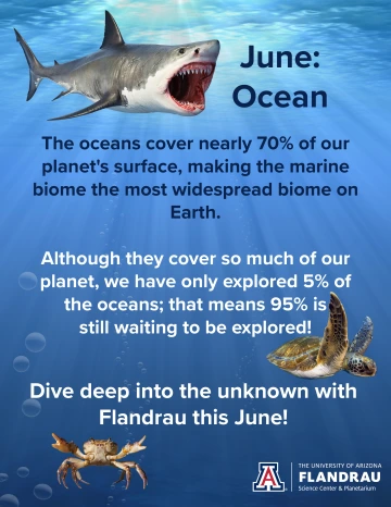 June's Science Theme