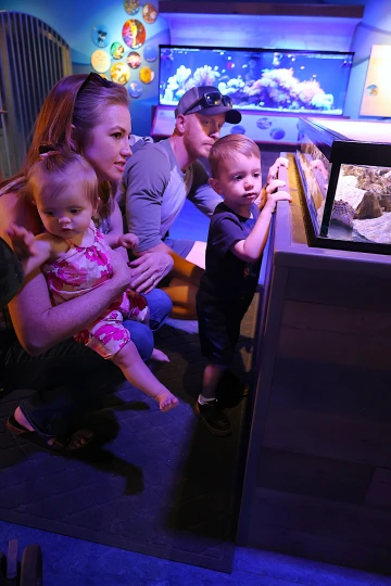 A family of four visits an aquarium exhibit called Undersea Discovery in Tucson