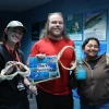 Sharks Variety Photo