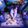 Undersea Discovery at Flandrau in Tucson